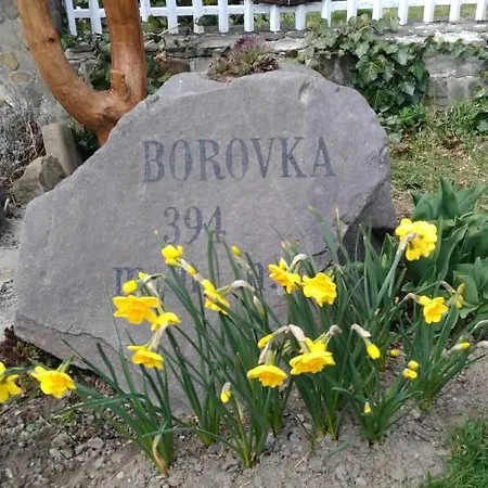 Borovka Country house Osadne