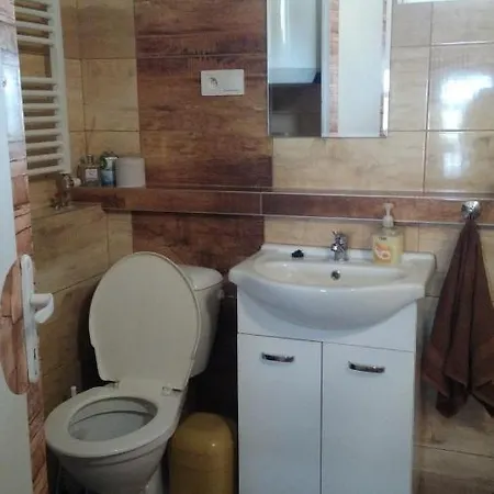 Country house Borovka Osadne